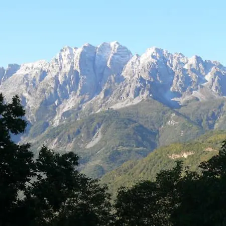 Il Riccio